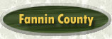 Fannin County