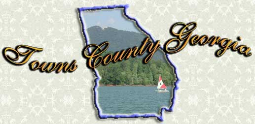 TYoung Harris Georgia in Towns County