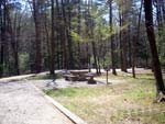 Vogel State Park campsites