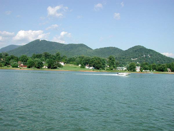 Ga Mountain Lakefront Property