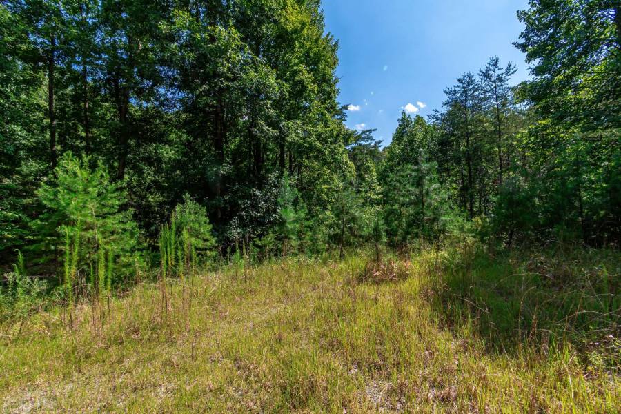 1.43AC Private Wooded Lot in a Gated Community