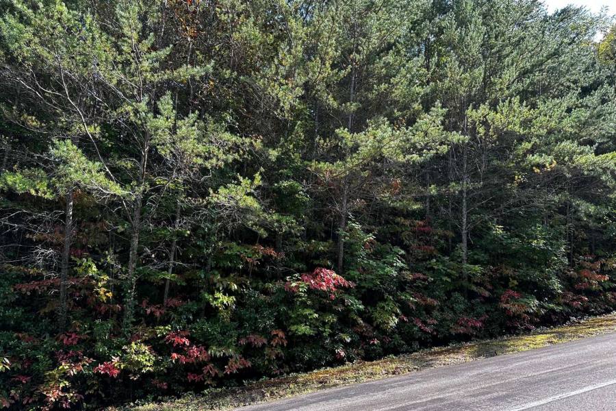 Georgia Mountain land for sale 70 ST ANDREWS WAY, Ellijay, Georgia 30536, ,Vacant lot,For sale,ST ANDREWS WAY,328785, land for sale Advantage Chatuge Realty