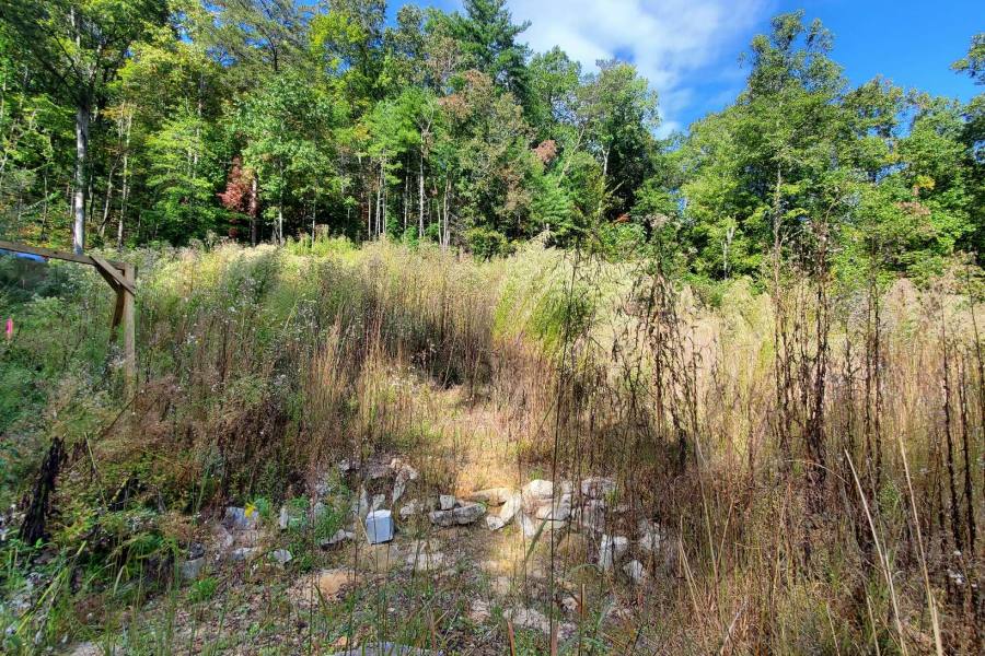 Georgia Mountain land for sale 1293 HIDDEN LAKE DR, Cherry Log, Georgia 30522, ,Vacant lot,For sale,HIDDEN LAKE DR,329373, land for sale Advantage Chatuge Realty