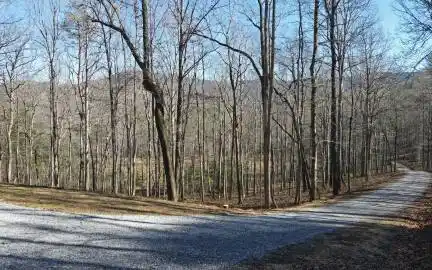 Georgia Mountain land for sale LOT 2 BUFORD DR, Young Harris, Georgia 30582, ,Vacant lot,For sale,BUFORD DR,330362, land for sale Advantage Chatuge Realty