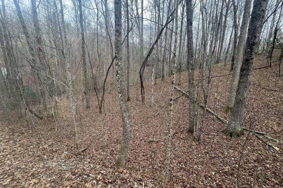 Georgia Mountain land for sale LOT 1456 PASHA DR, Ellijay, Georgia 30540, ,Vacant lot,For sale,LOT 1456 PASHA DR,331037, land for sale Advantage Chatuge Realty