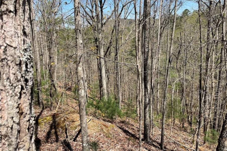 Georgia Mountain land for sale 1672 HUNTER DRIVE, Ranger, Georgia 30734, ,Vacant lot,For sale,HUNTER DRIVE,331044, land for sale Advantage Chatuge Realty