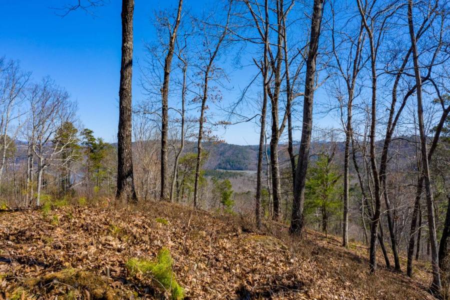 Homesite view of beautiful mountains and Carters Lake