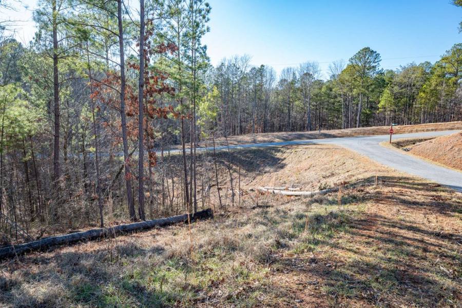 Georgia Mountain land for sale LT120 HIGH HILLS CT, Ellijay, Georgia 30540, ,Vacant lot,For sale,HIGH HILLS CT,331056, land for sale Advantage Chatuge Realty