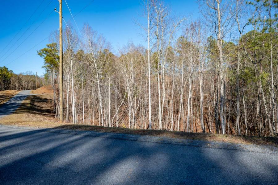 Georgia Mountain land for sale LT120 HIGH HILLS CT, Ellijay, Georgia 30540, ,Vacant lot,For sale,HIGH HILLS CT,331056, land for sale Advantage Chatuge Realty