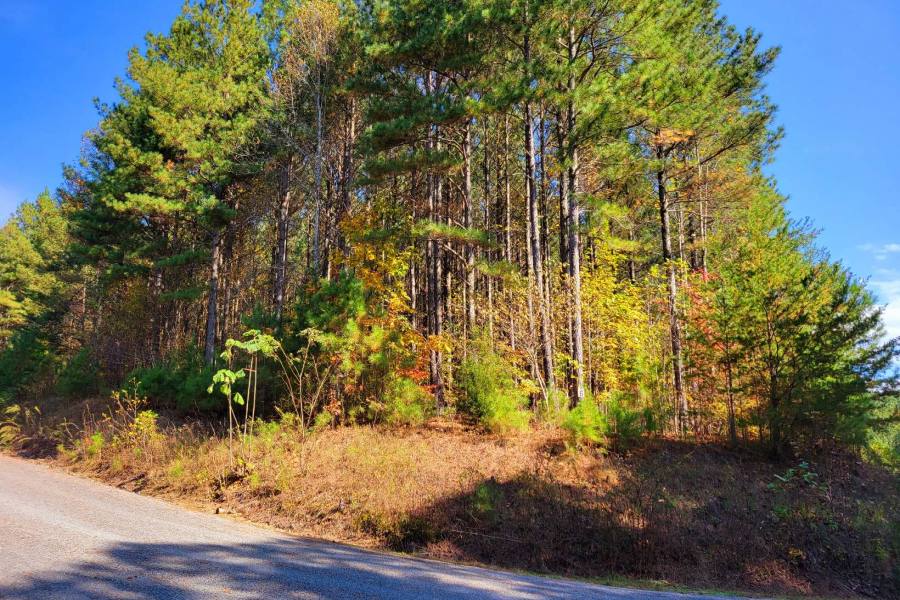 Georgia Mountain land for sale LOT 7 RIDGE TOP DR, Ellijay, Georgia 30536, ,Vacant lot,For sale,RIDGE TOP DR,331132, land for sale Advantage Chatuge Realty