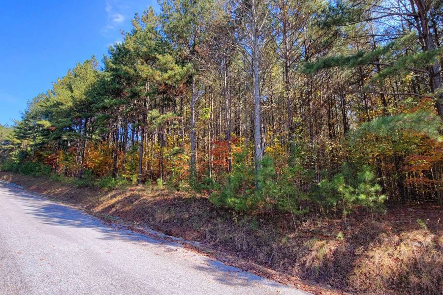 Georgia Mountain land for sale LOT 7 RIDGE TOP DR, Ellijay, Georgia 30536, ,Vacant lot,For sale,RIDGE TOP DR,331132, land for sale Advantage Chatuge Realty