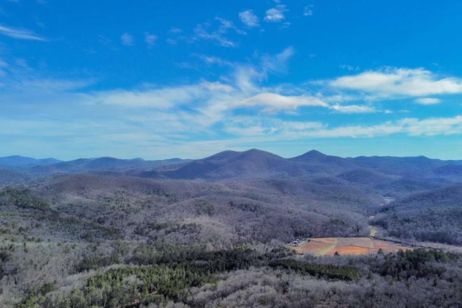 Georgia Mountain land for sale 0 BLACK ANKLE 1.47 AC, Cherry Log, Georgia 30522, ,Vacant lot,For sale,BLACK ANKLE 1.47 AC,331249, land for sale Advantage Chatuge Realty