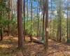 Georgia Mountain land for sale 0 BLACK ANKLE 1.47 AC, Cherry Log, Georgia 30522, ,Vacant lot,For sale,BLACK ANKLE 1.47 AC,331249, land for sale Advantage Chatuge Realty