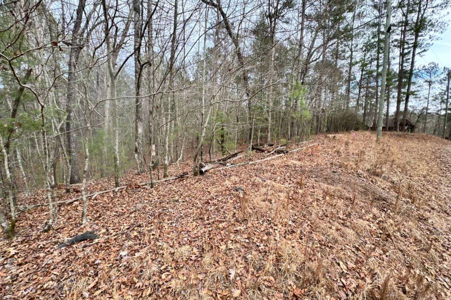 Georgia Mountain land for sale 0 HAVEN COURT, Ellijay, Georgia 30540, ,Vacant lot,For sale,HAVEN COURT,331266, land for sale Advantage Chatuge Realty