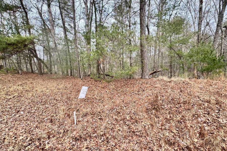 Georgia Mountain land for sale 0 HAVEN COURT, Ellijay, Georgia 30540, ,Vacant lot,For sale,HAVEN COURT,331266, land for sale Advantage Chatuge Realty